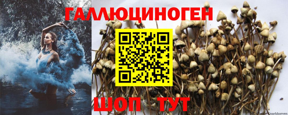 Галлюциногенные грибы GOLDEN TEACHER  Вход с VPN  Кандалакша 