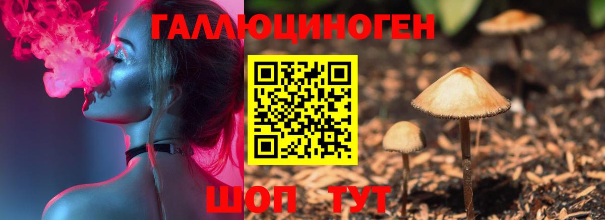 Псилоцибиновые грибы прущие грибы Кандалакша